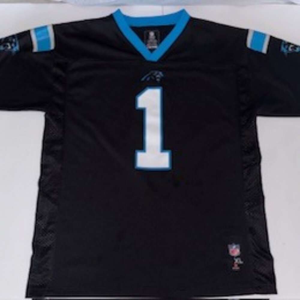 NFL Team Apparel Youth, Carolina Panthers Jersey, Size L,